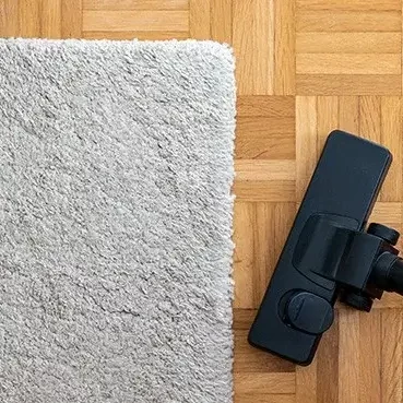 DailyCareRugs Area Rug Care | Titan Flooring