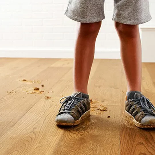 dirt-derbis-hardwood-square Hardwood care | Titan Flooring